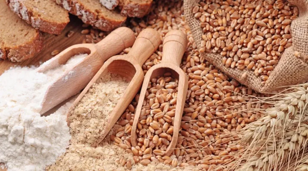 So sánh phôi lúa mì với cám mì và bã đậu nành